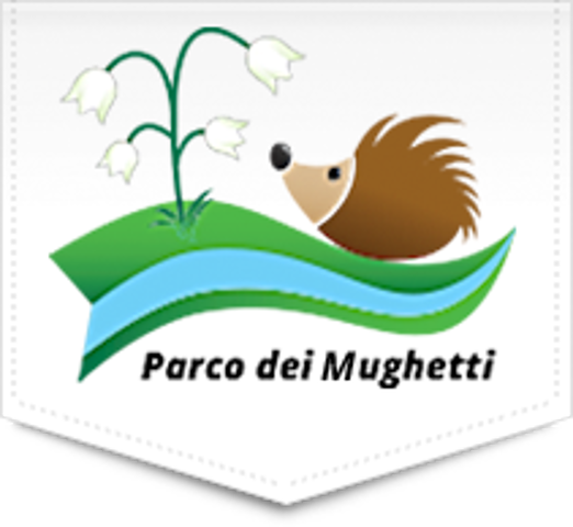top-logo